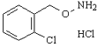 鄰氯芐氧胺鹽酸鹽