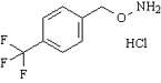 4-三氟甲基芐氧胺鹽酸鹽